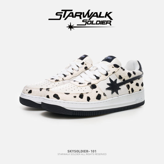 SKYSOLDIER 101